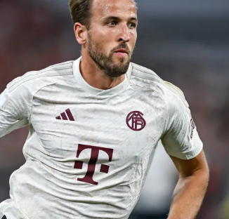 他们通过这 他们通过这