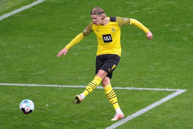 能真正绽放 能真正绽放